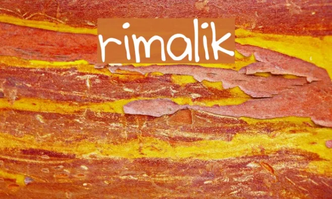 rimalik Example 2