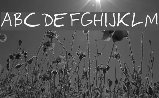 ringey Font examples