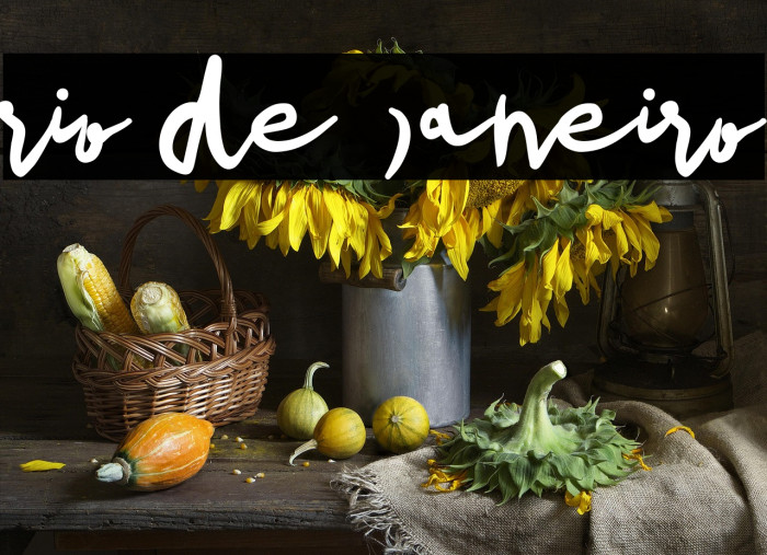 rio de janeiro Example 3