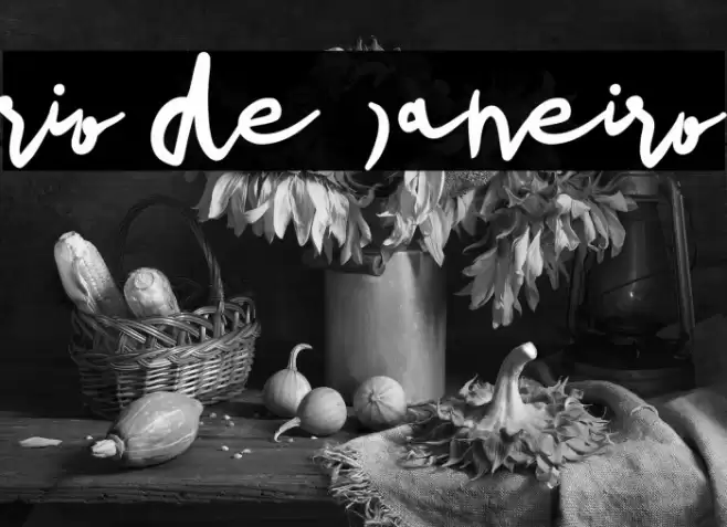 rio de janeiro Font examples