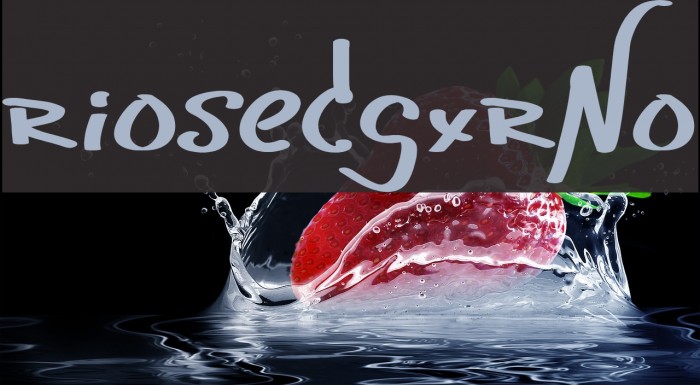 riosedgxrNo Font examples
