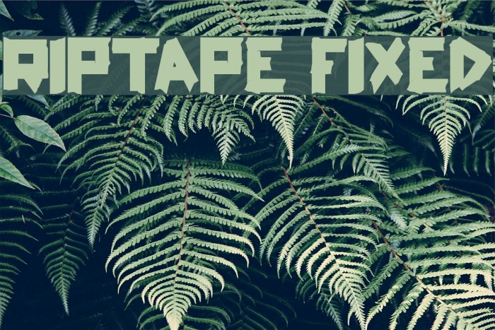 ripTAPE Fixed Font examples