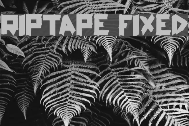 ripTAPE Fixed Font examples