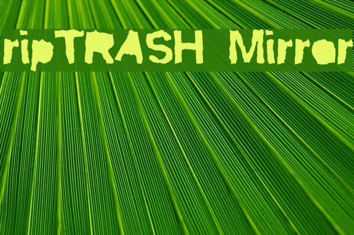 ripTRASH Mirror Font examples
