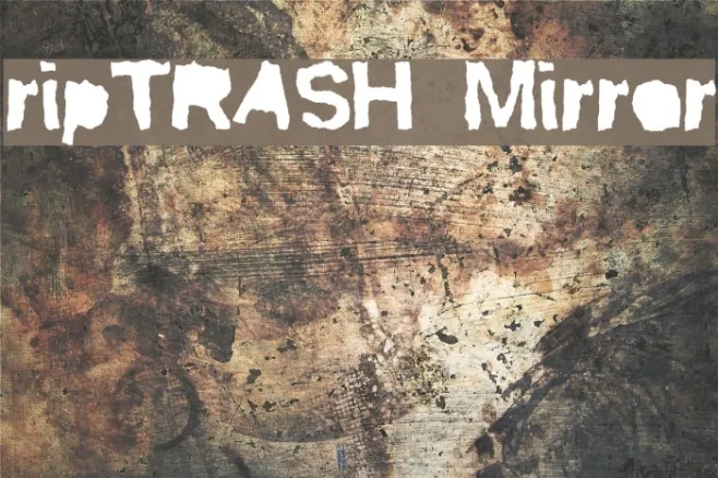 ripTRASH Mirror Example 3