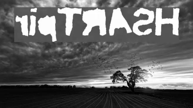 ripTRASH Font examples