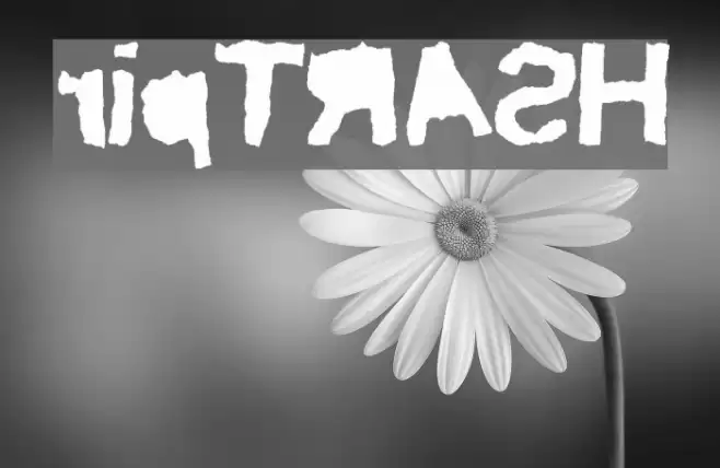 ripTRASH Font examples