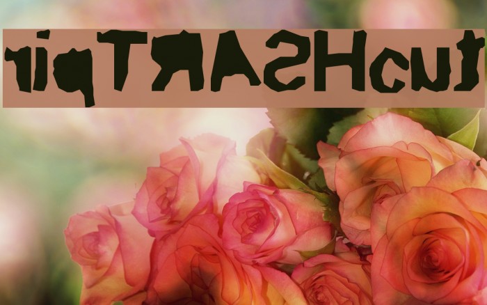 ripTRASHcut Font examples