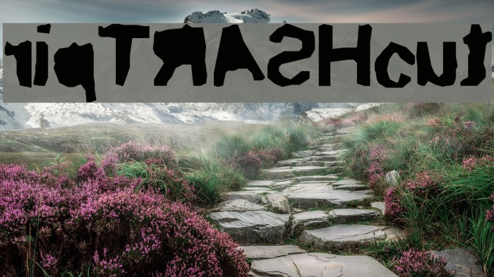 ripTRASHcut Font examples