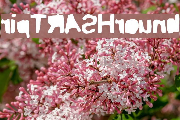 ripTRASHround Example 1