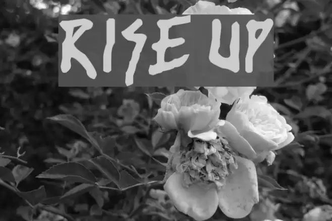 rise up Fonte examples