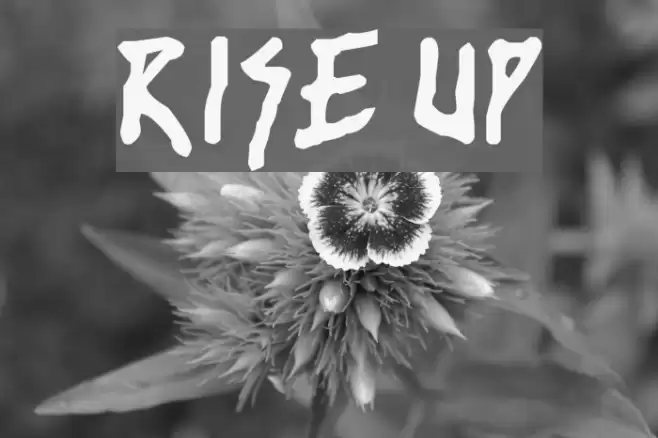 rise up Fonte examples