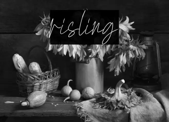 risling Font examples