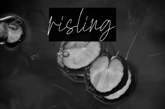 risling Font examples