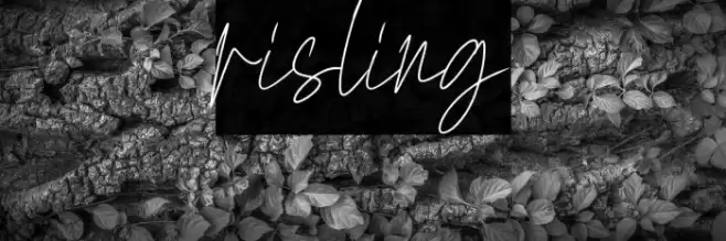 risling Font examples