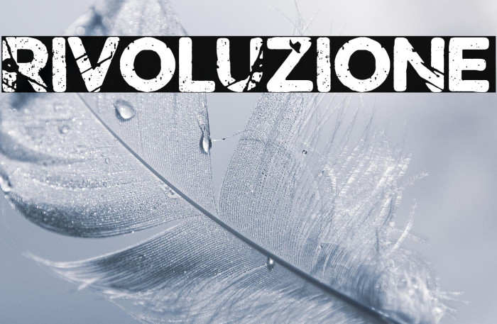 rivoluzione Example 3