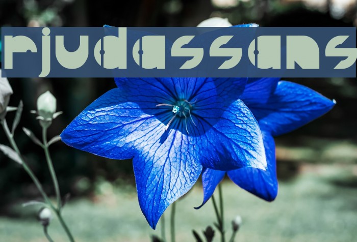 RJudasSans Font examples