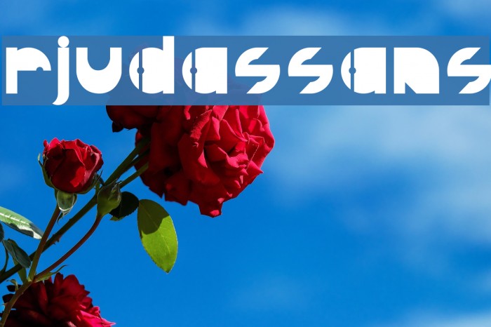 RJudasSans Font examples