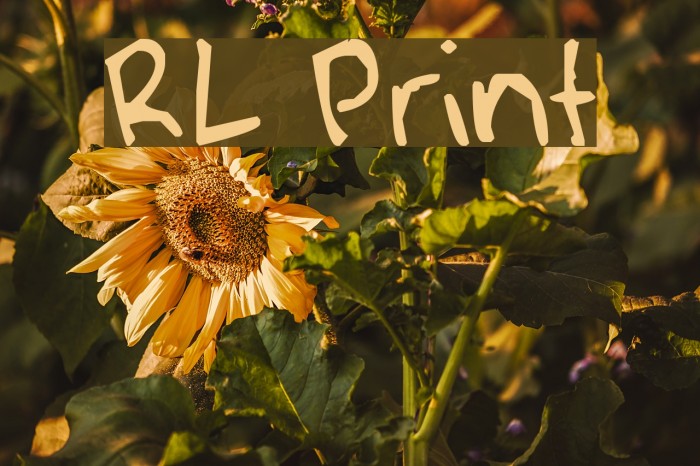 RL Print Font examples