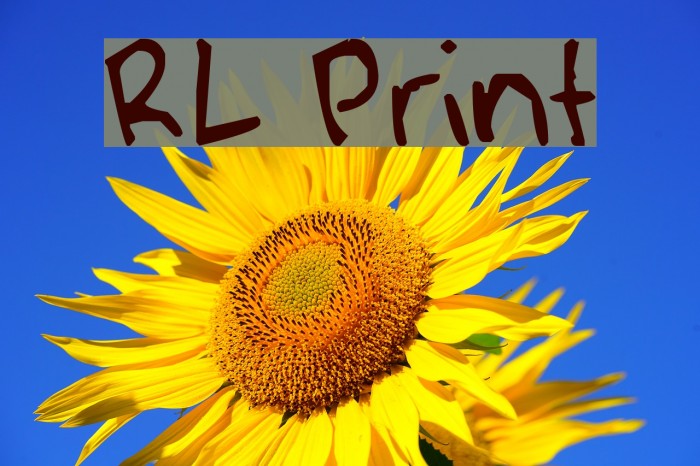 RL Print Font examples