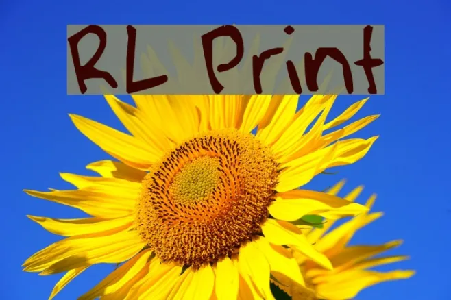RL Print Example 2