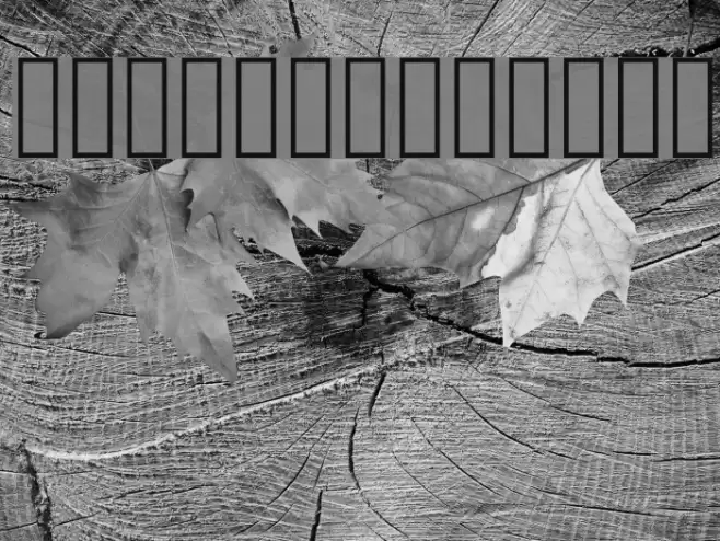 Rlfs V3 Regular Font examples