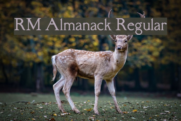 RM Almanack Regular Font examples