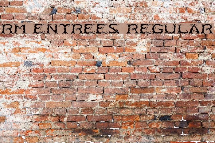 RM Entrees Regular Font examples