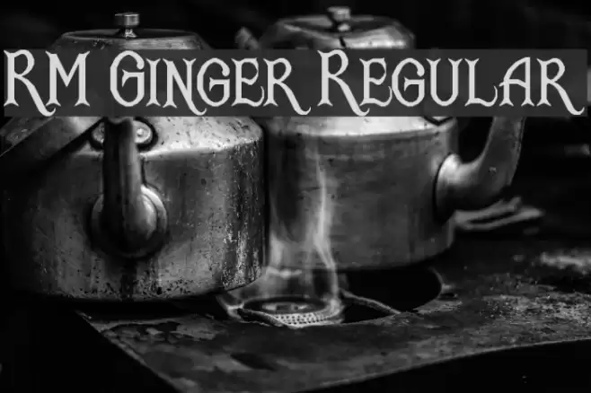 RM Ginger Regular Font examples