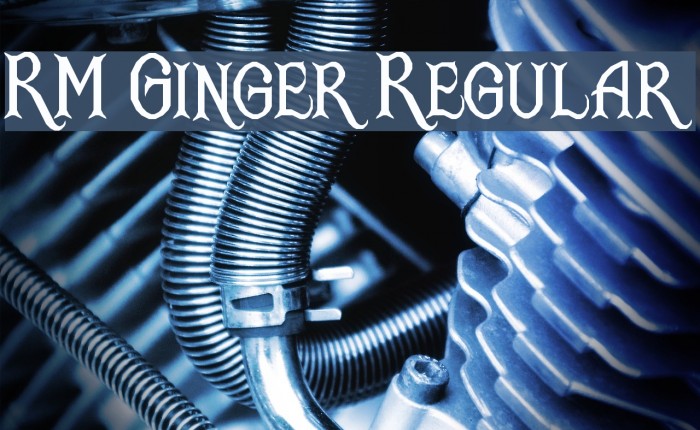 RM Ginger Regular Example 3