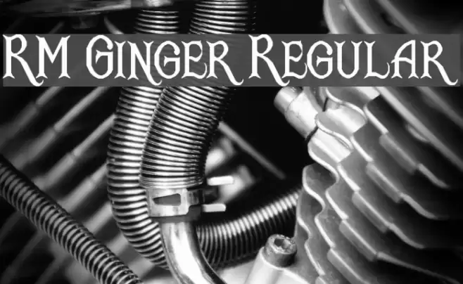 RM Ginger Regular Font examples