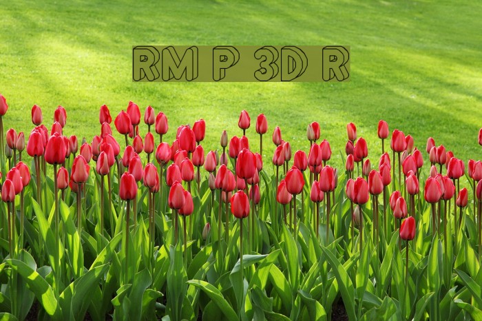 RM Playtime 3D Regular Font examples