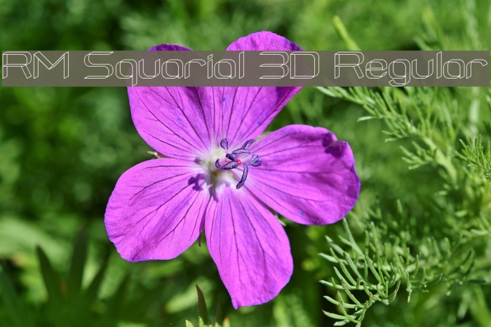 RM Squarial 3D Regular Font examples
