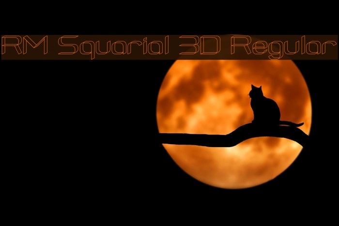 RM Squarial 3D Regular Font examples