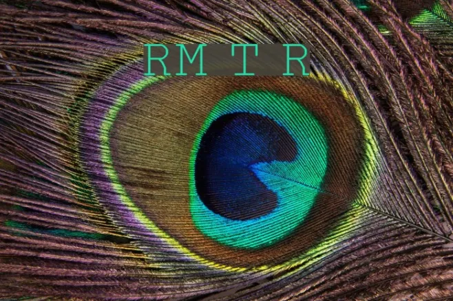 RM Typerighter Regular Example 1