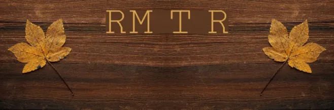 RM Typerighter Regular Example 2