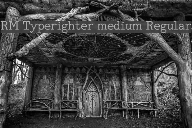 RM Typerighter medium Regular Font examples