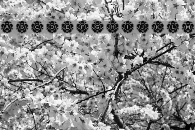 RMCalli3 फ़ॉन्ट examples