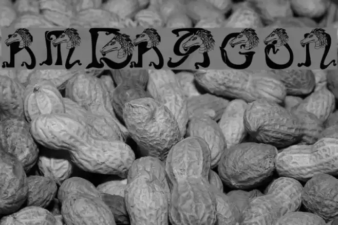 RMDragon Font examples