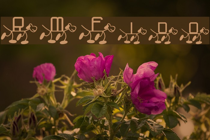 RMFido Font examples