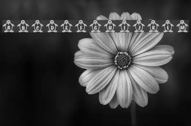 RMPenquin Font examples