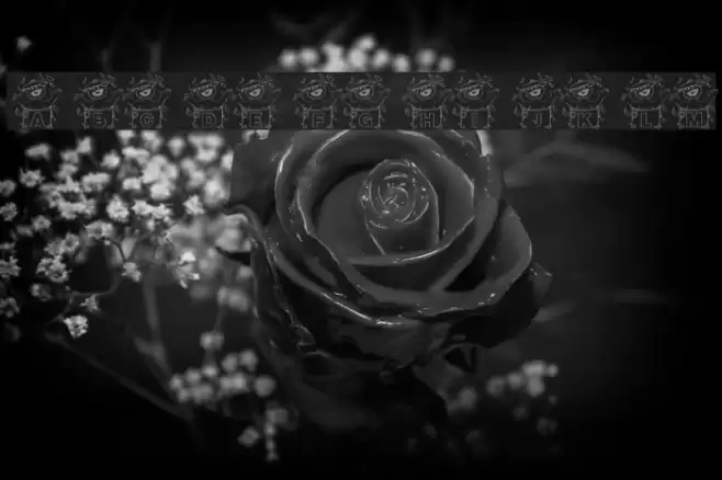 RMSSalpha Font examples