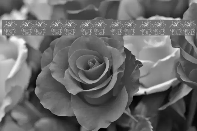 RMSSalpha Font examples