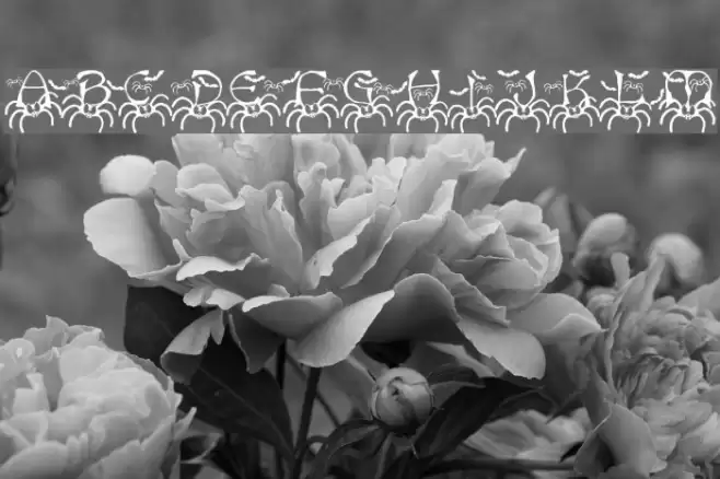 RMSpider2 Font examples