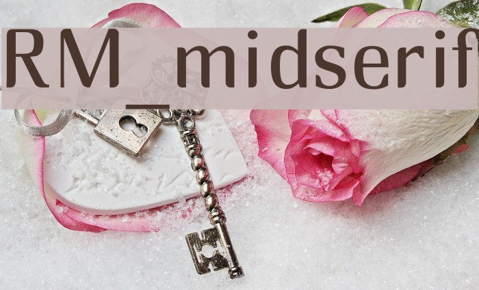 RM_midserif Font examples