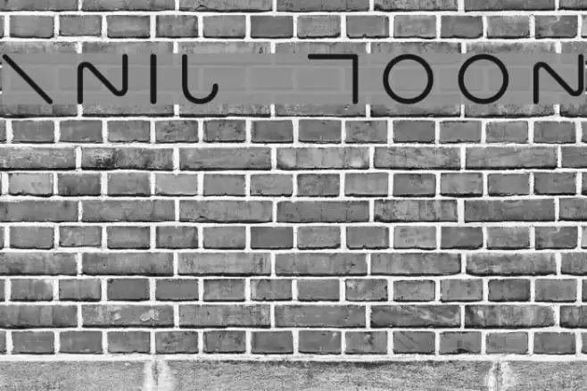 RNIB MOON Font examples