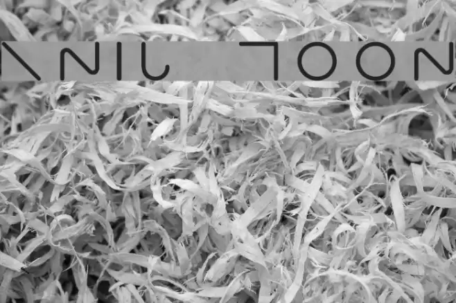 RNIB MOON Font examples