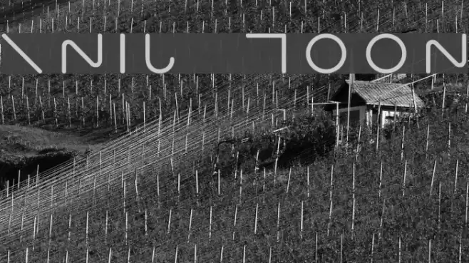 RNIB MOON Font examples