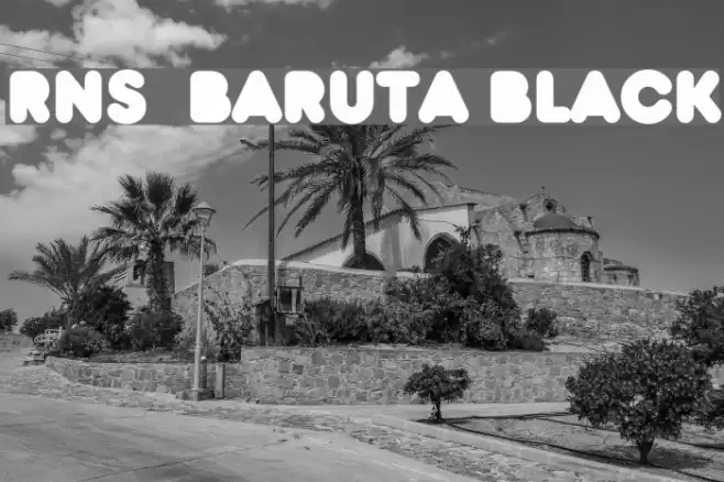 RNS  BARUTA BLACK  examples