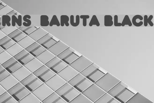 RNS  BARUTA BLACK  examples